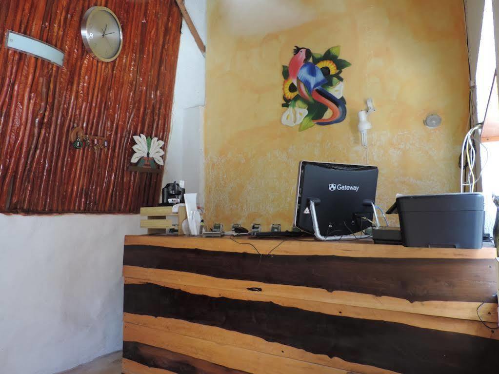 Golden Paradise Town Hotel Isla Holbox ภายนอก รูปภาพ
